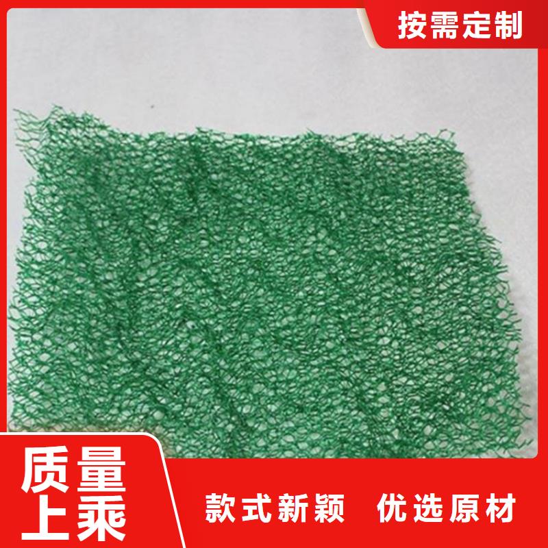 三维植被网钢塑土工格栅品质商家