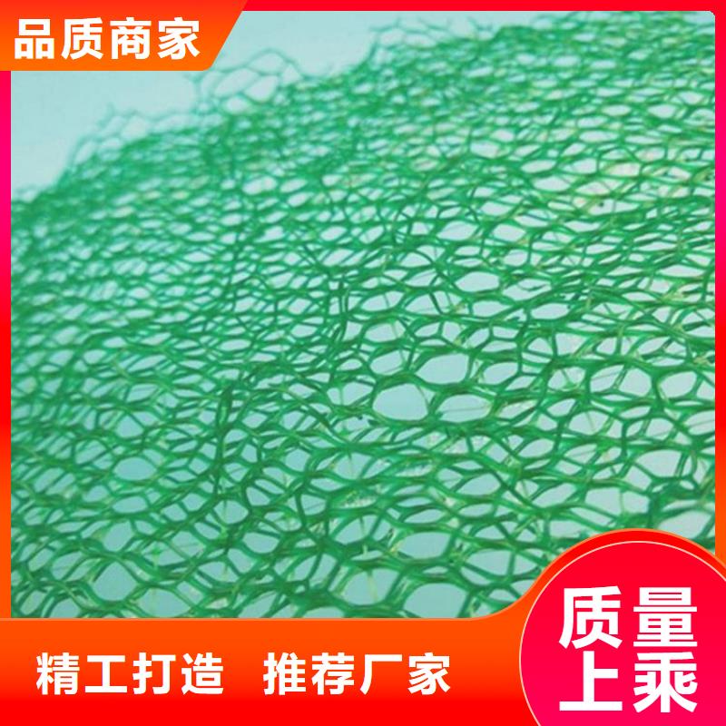 三维土工网垫-三维网植草护坡