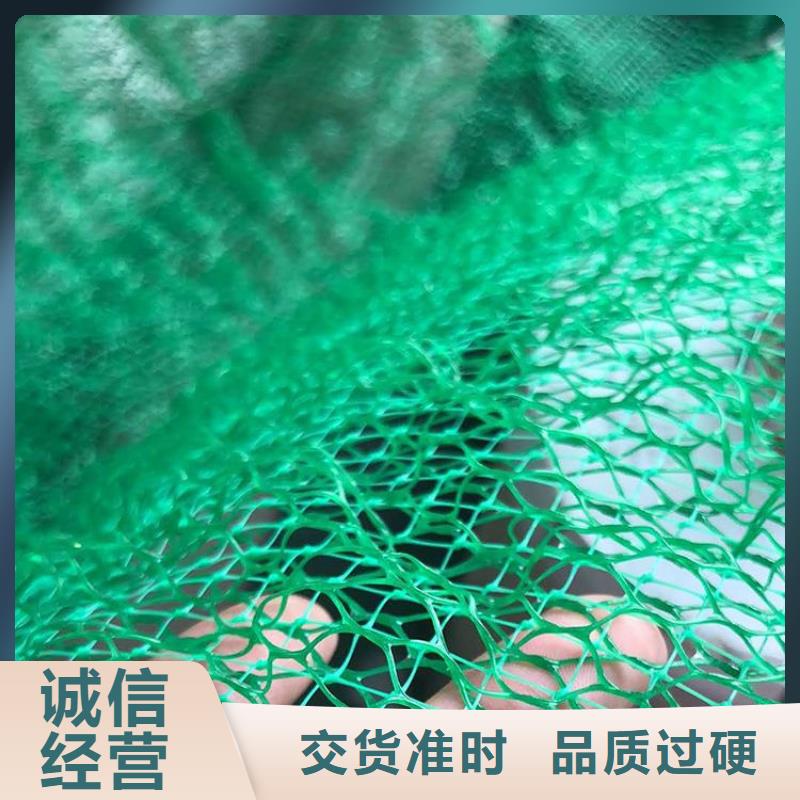 三维植草护坡网垫-三维土工网垫