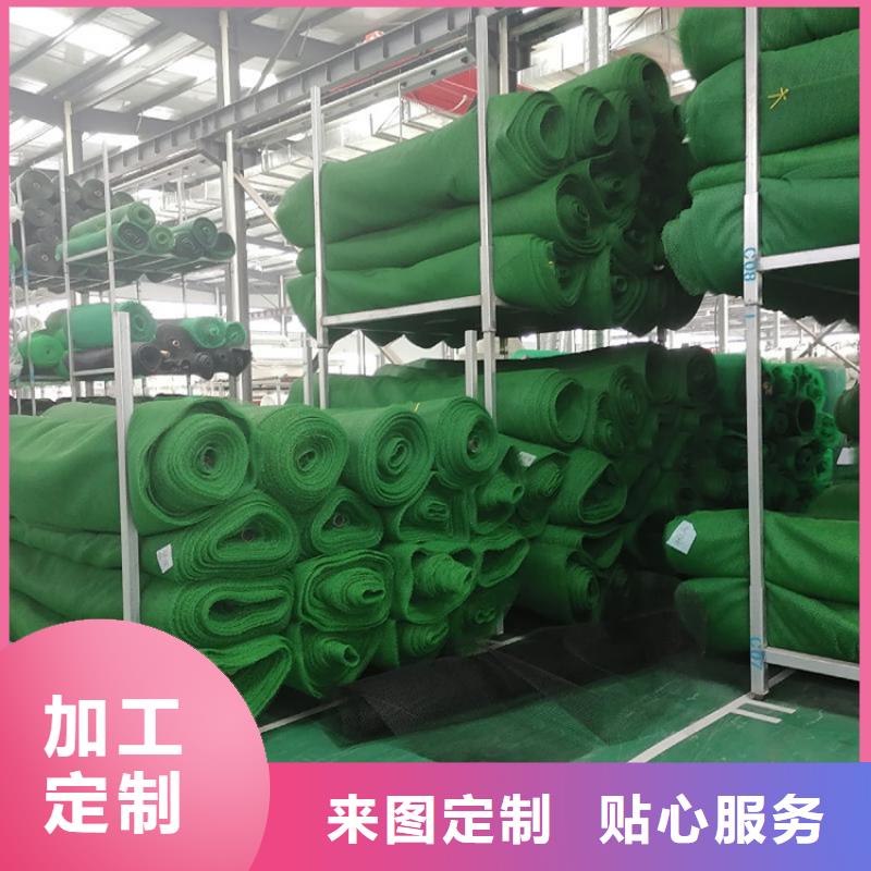 塑料护坡三维护坡植被网垫