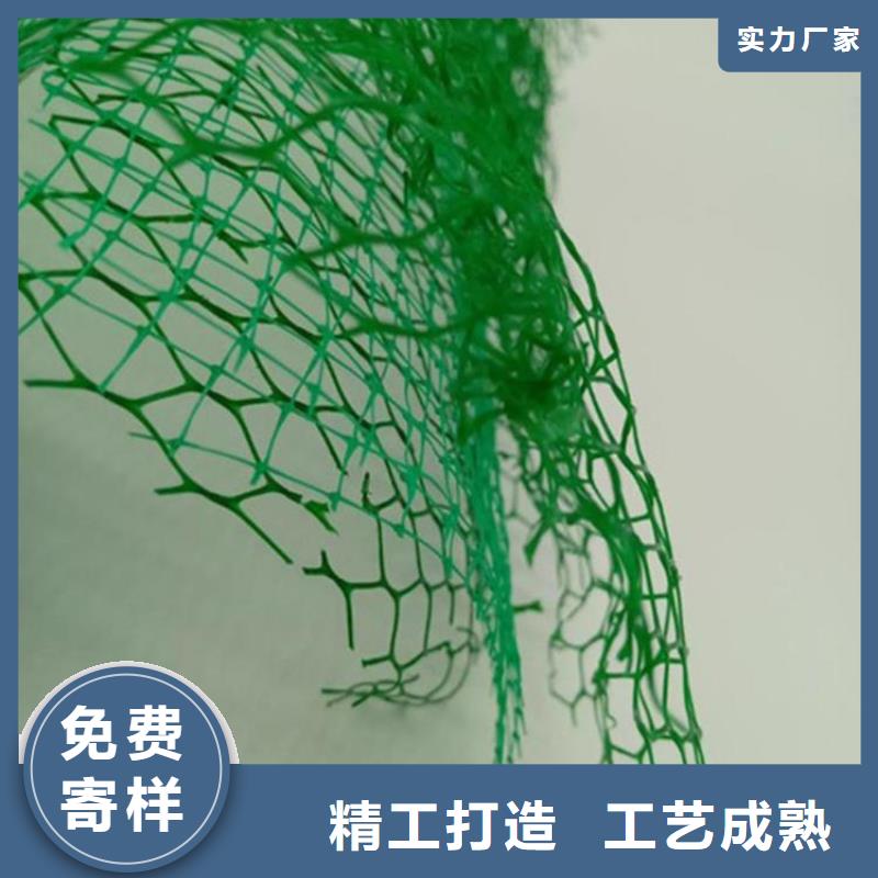 护坡加筋网垫-三维土工网