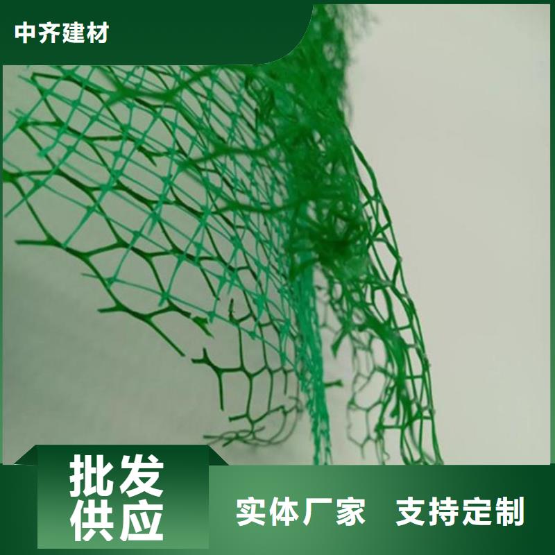三维植草护坡网垫-三维土工网垫