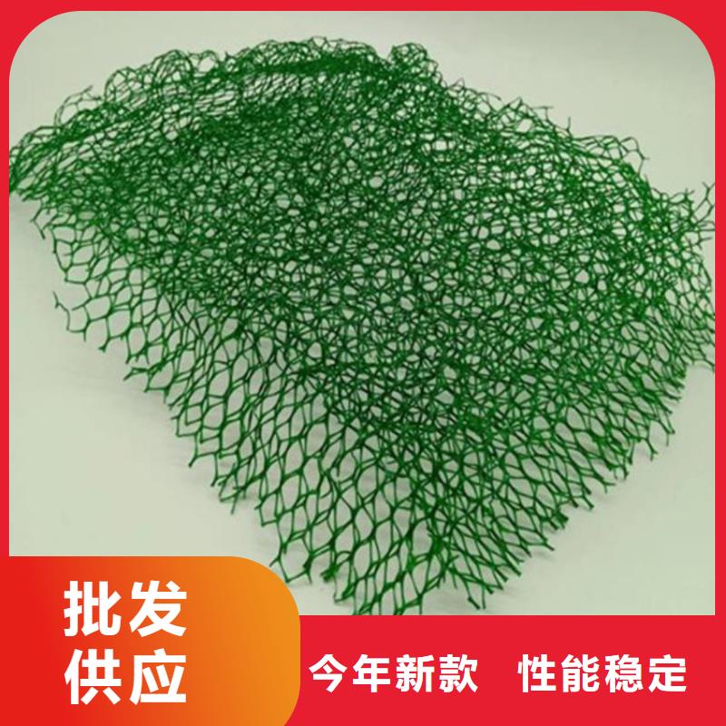 三维固土网垫-EM2三维土工网垫