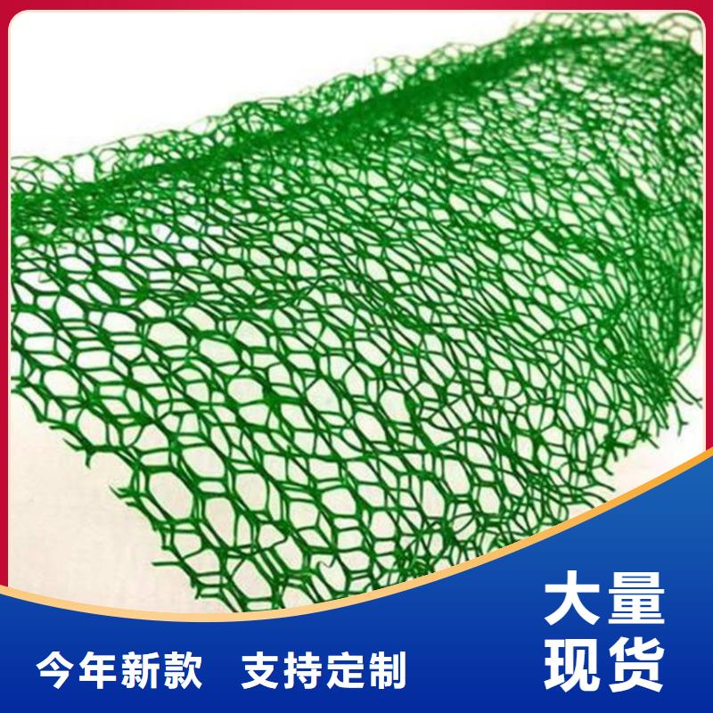 三维植草护坡网垫-三维网垫