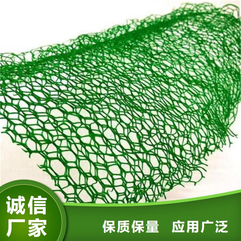 护坡加筋网垫-加筋三维植被网