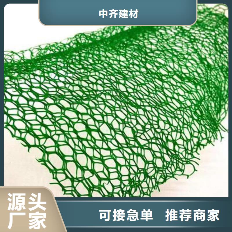 三维植被网植草格好货直供