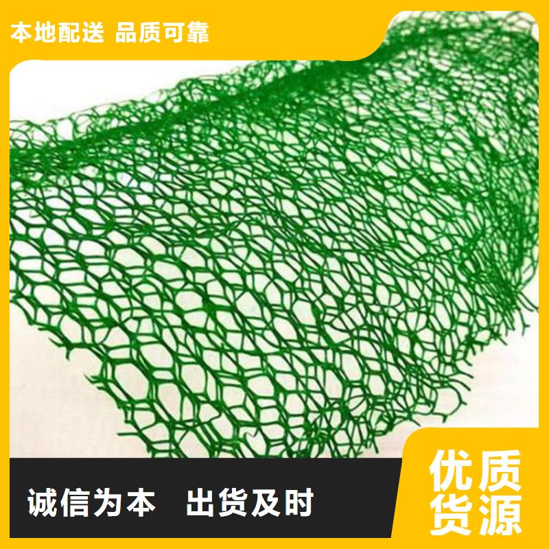 三维土工网垫-三维网植草护坡