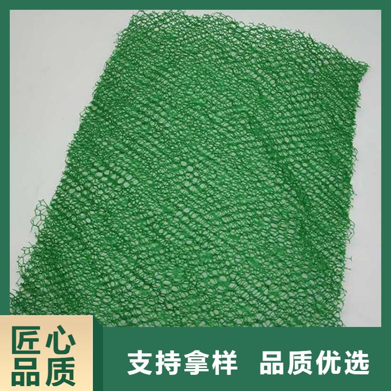 三维土工网垫-边坡三维土工网垫