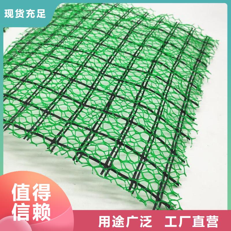 护坡EM4三维加筋土工网垫