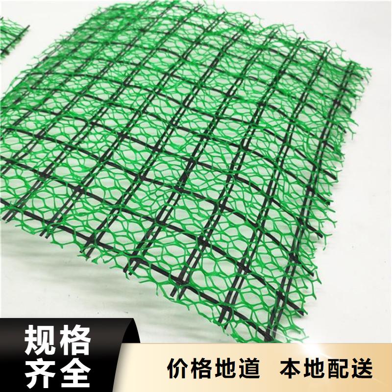 三维护坡植草网垫