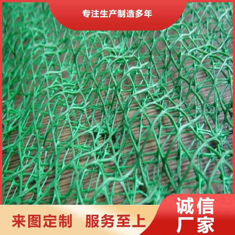 三维护坡植草网垫厂家动态已更新