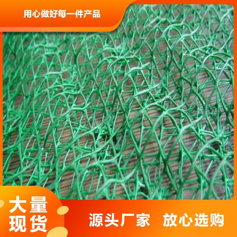 环保护坡三维加筋土工网垫
