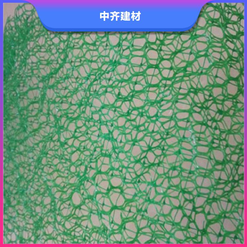 三维植被网经销/哪里有卖的