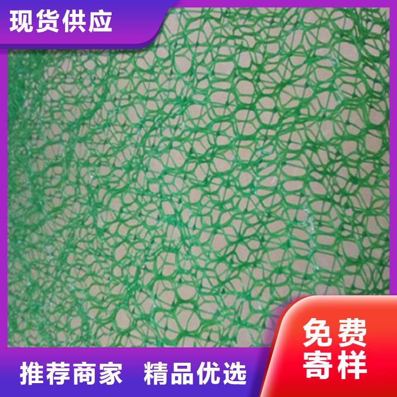 三维植被网土工格室真材实料诚信经营