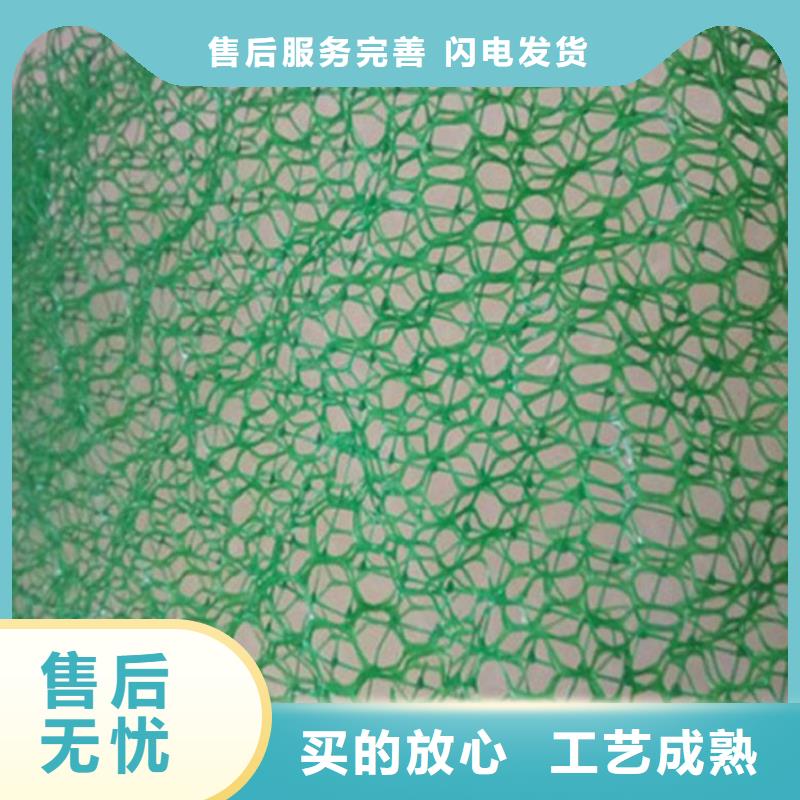 三维植草护坡网垫-三维土工网垫