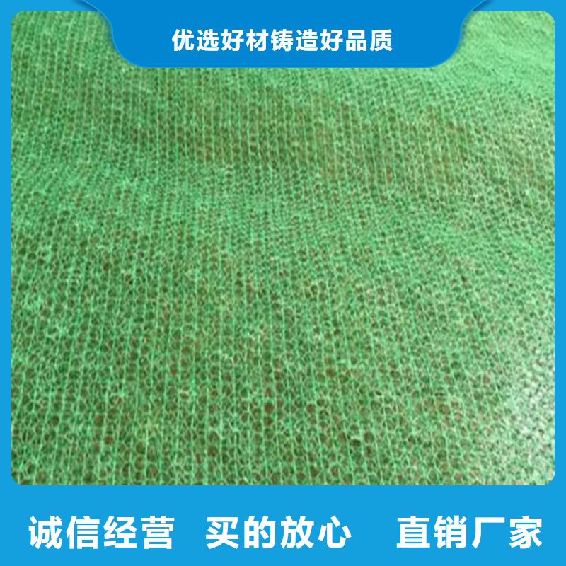 三维植被网植草格好货直供