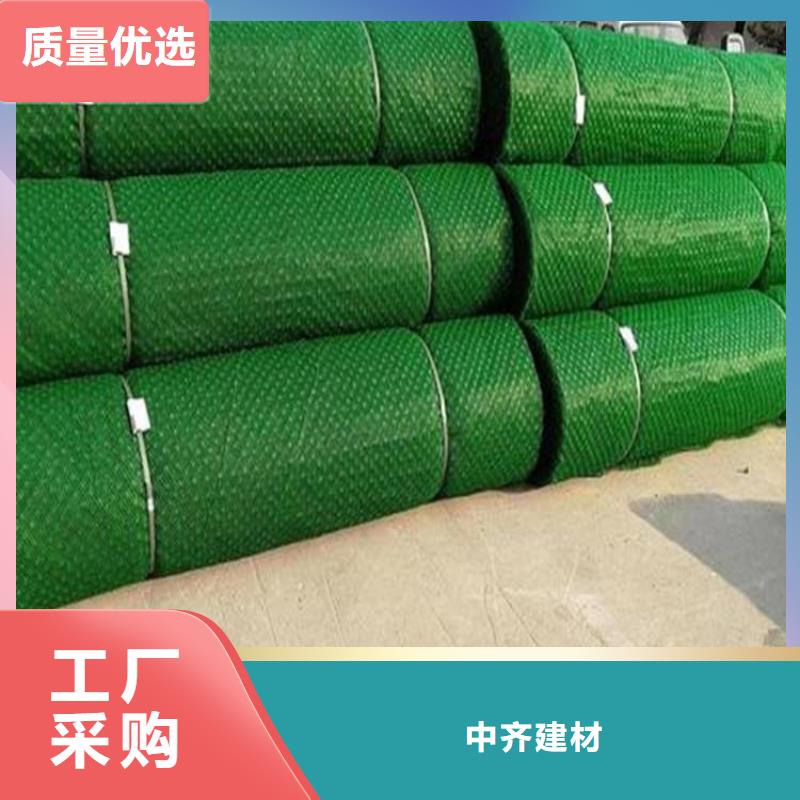 三维土工网垫-EM3三维土工网垫厂家市场经销
