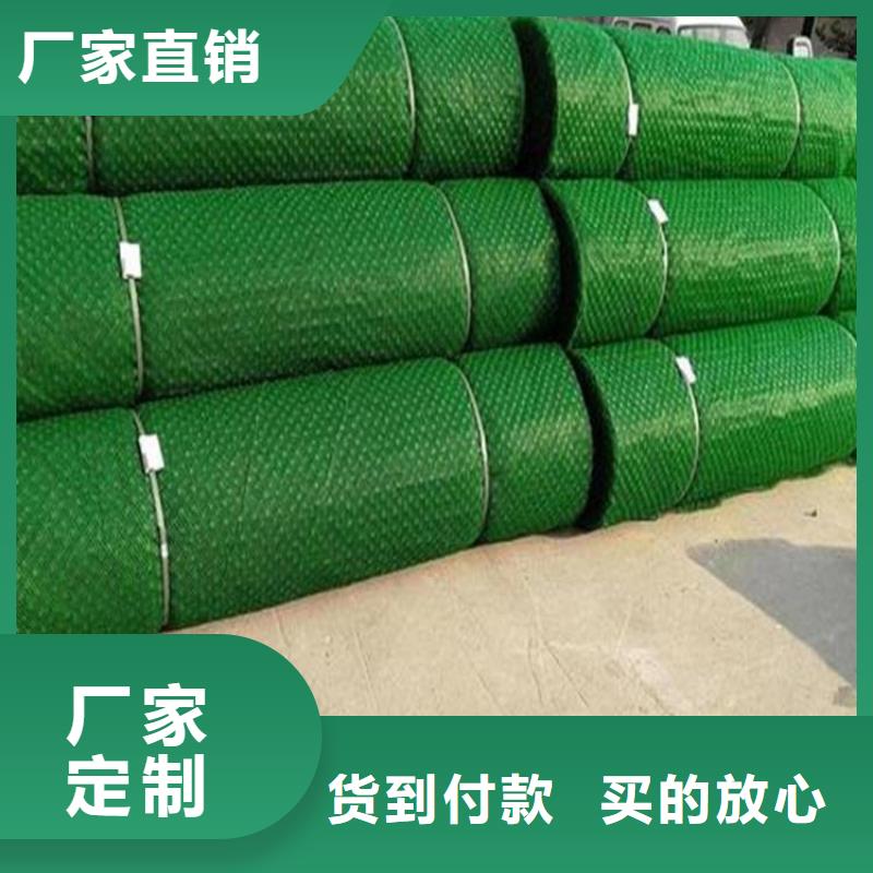 三维土工网垫-EM2三维土工网垫
