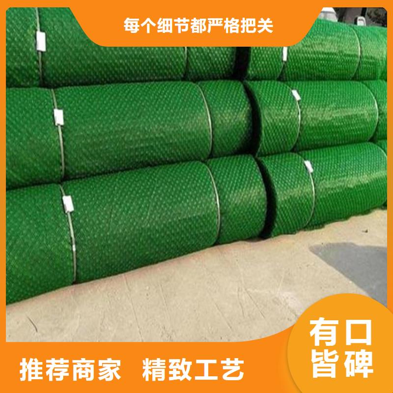 护坡加筋网垫-三维土工网