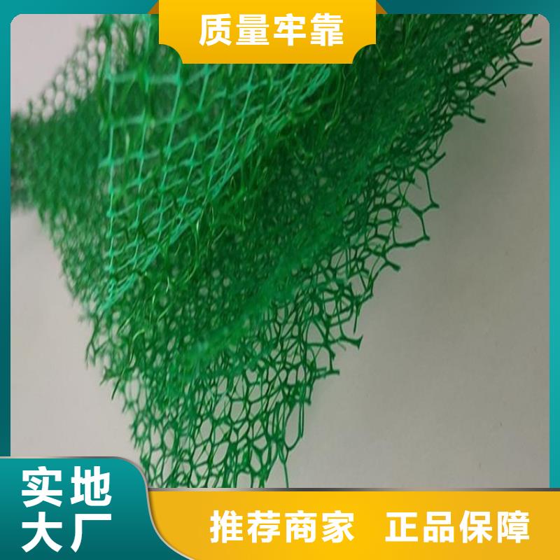 三维植被网植草格好货直供
