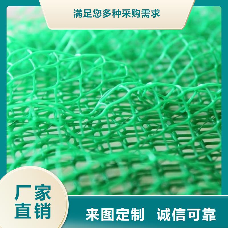 三维植被网#塑料护坡