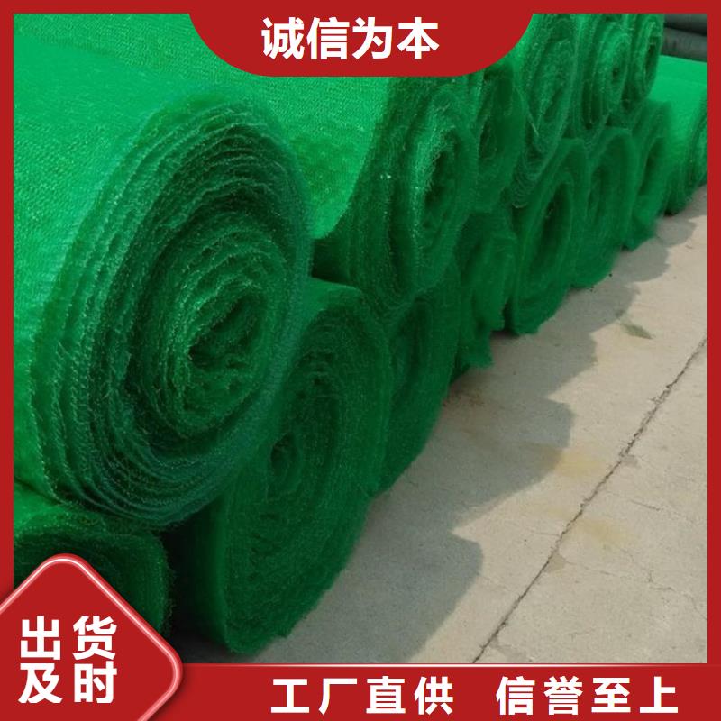 三维土工网垫厂家报价