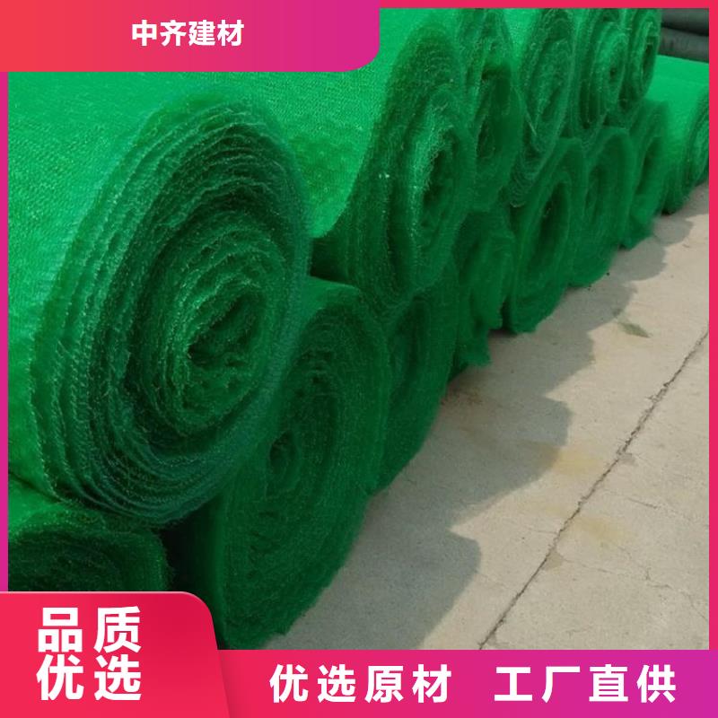 三维土工网垫-边坡三维土工网垫