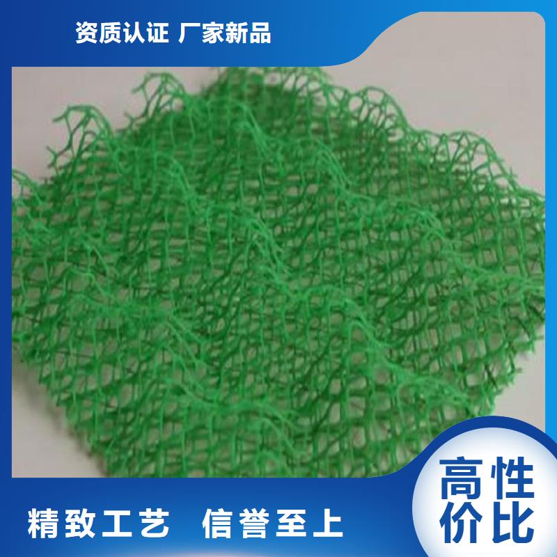 三维土工网垫厂家报价