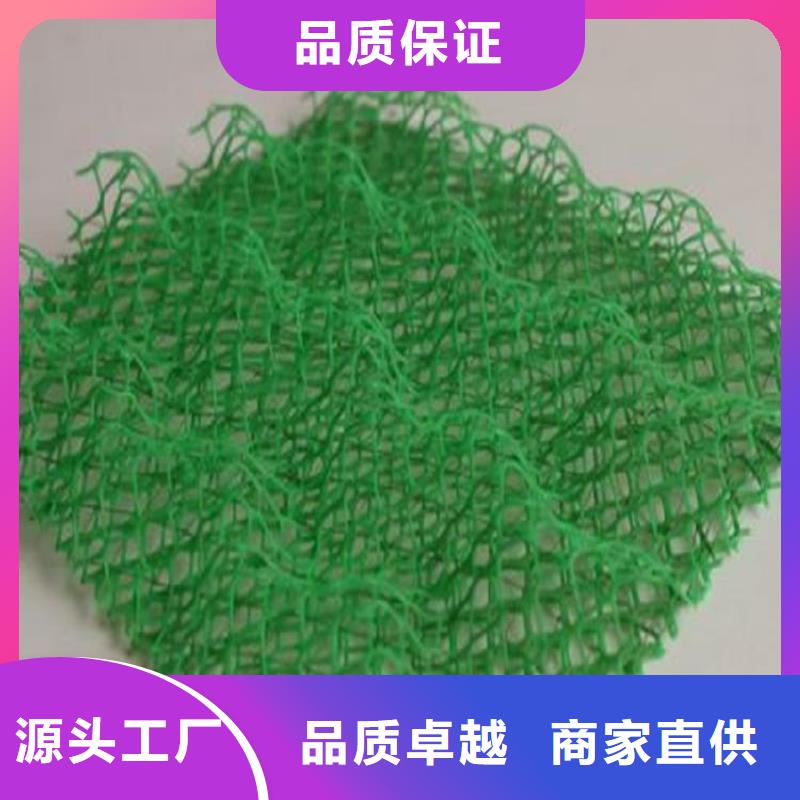 三维土工网垫-EM3三维土工网垫厂家市场经销