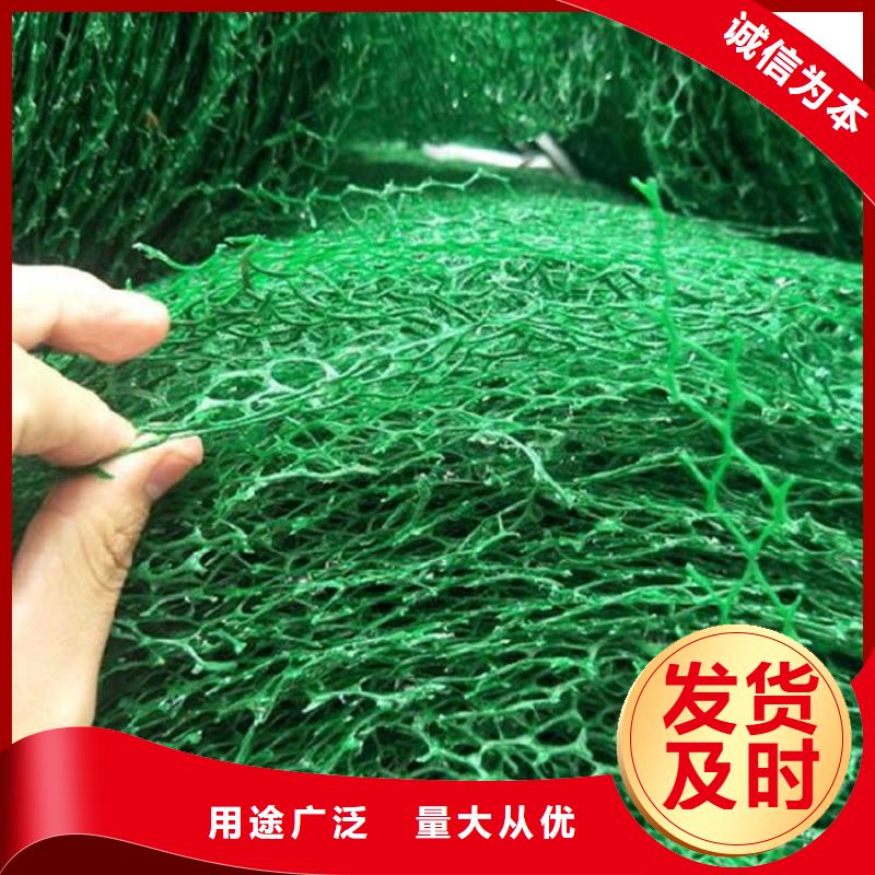 三维植被网钢塑土工格栅品质商家