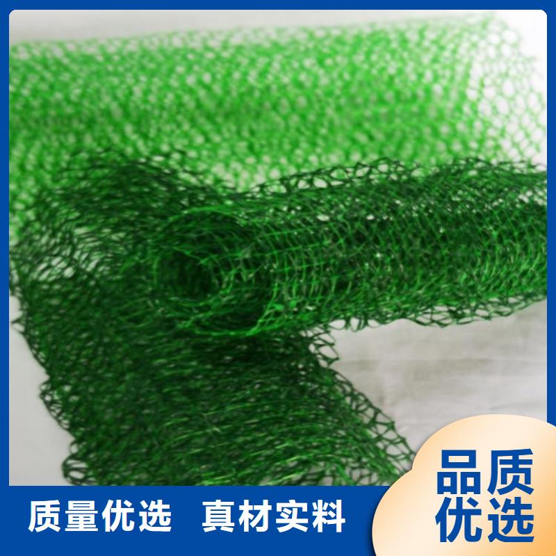 三维植被网植草格好货直供