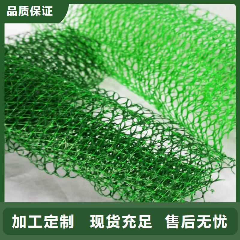 三维植被网钢塑土工格栅品质商家