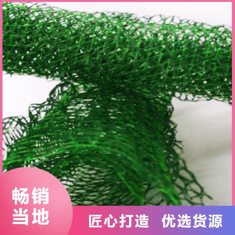 护坡加筋网垫-三维土工网