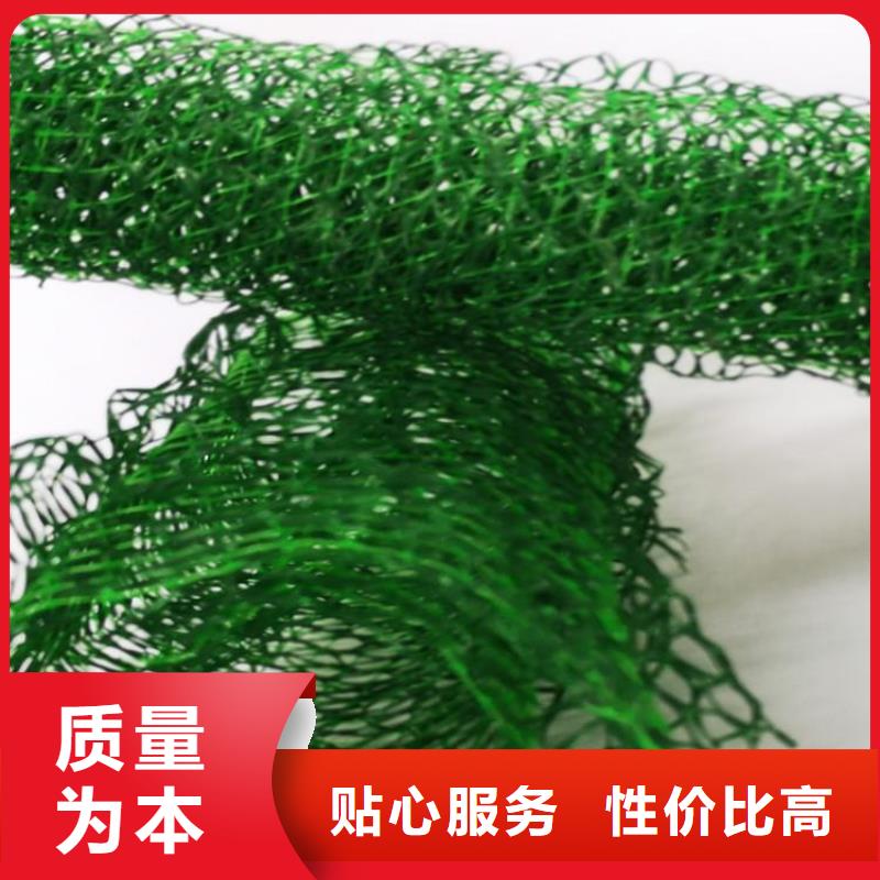 三维加筋土工网垫#环保固土