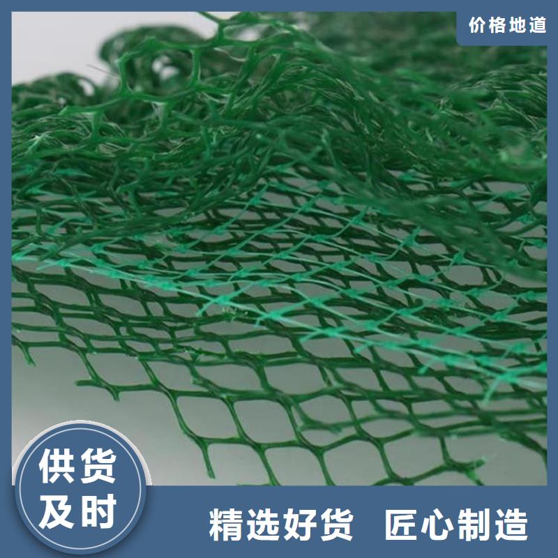 三维固土网垫-EM2三维土工网垫