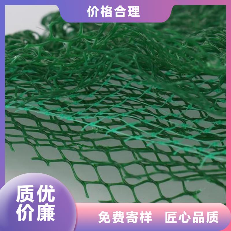 三维植被网-三维土工网产品资讯已更新