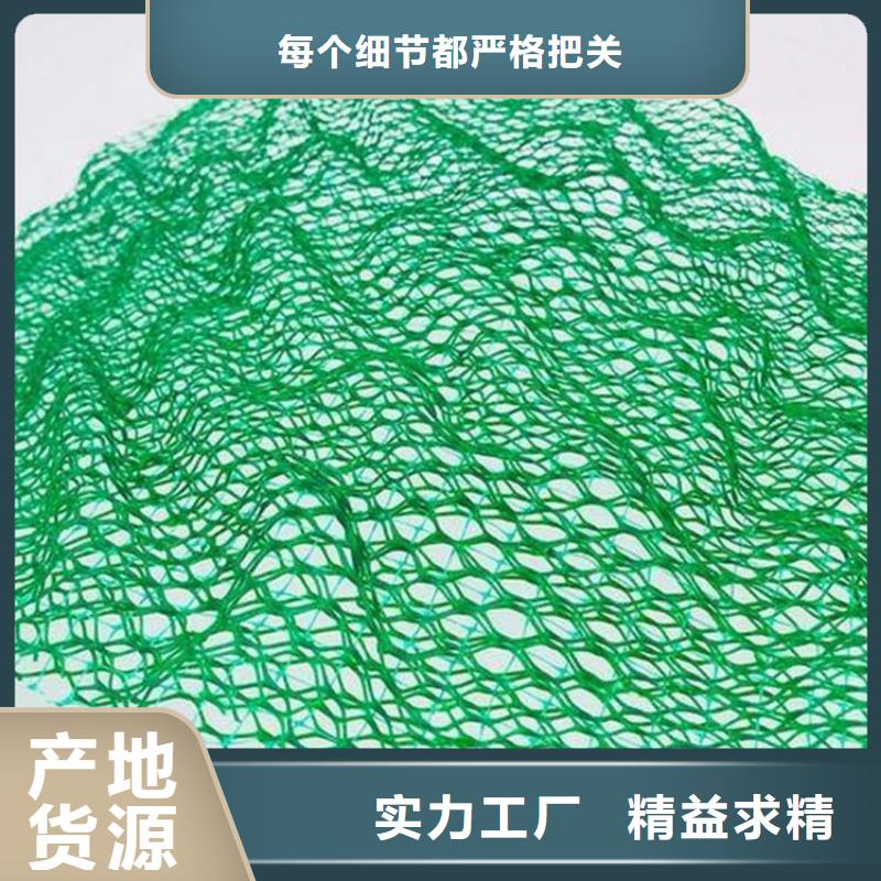 护坡加筋网垫-三维土工网垫公司欢迎您