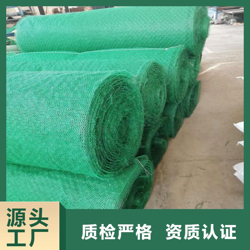 三维植被网放心品质