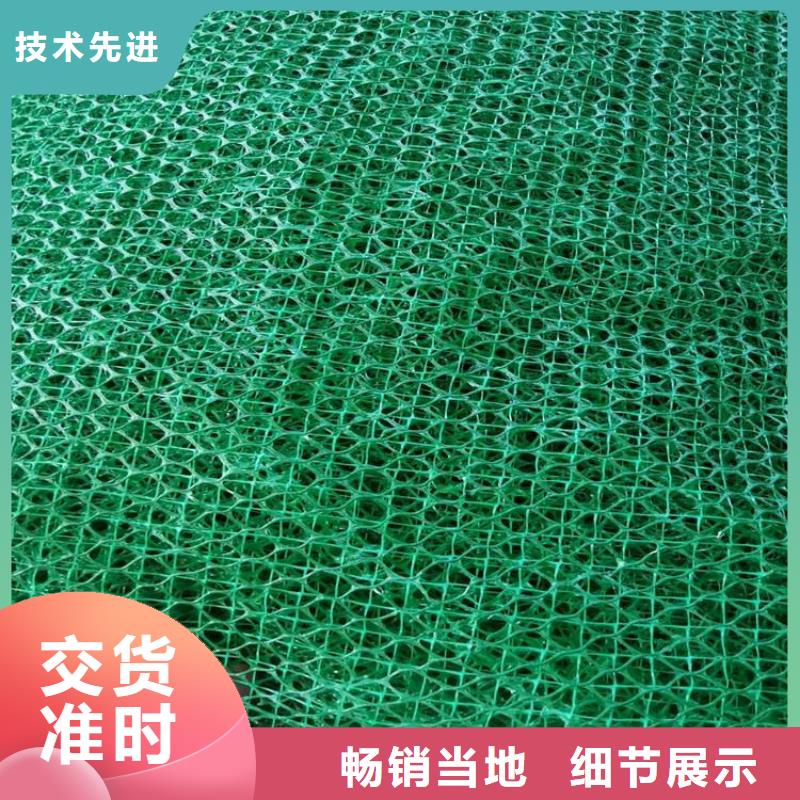 三维土工网垫-三维固土网垫厂家-办事处