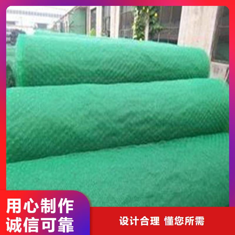三维植草护坡网垫-EM2三维植被网