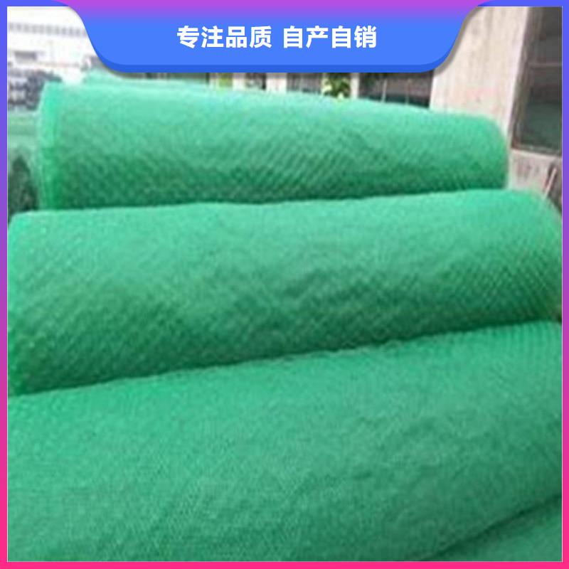 三维植草护坡网垫-三维土工网垫