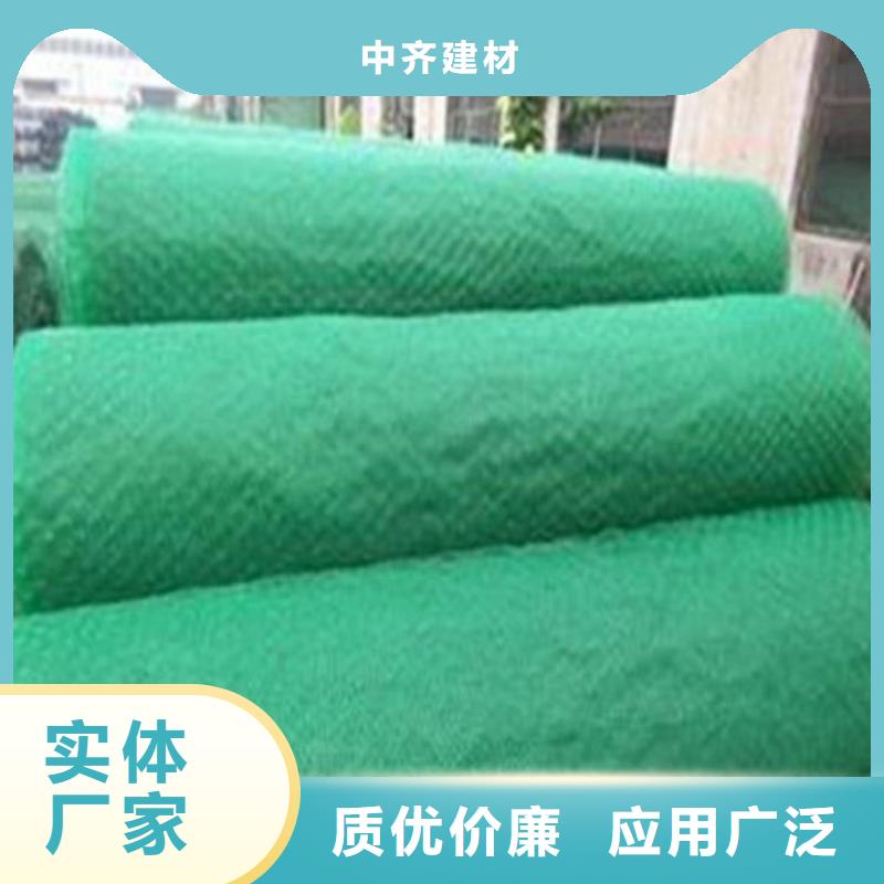 三维固土网垫-加筋三维土工网垫规格