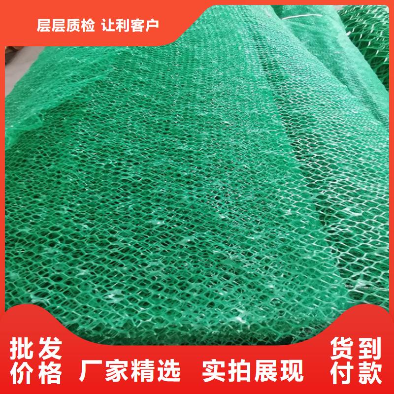 三维植被网钢塑土工格栅品质商家