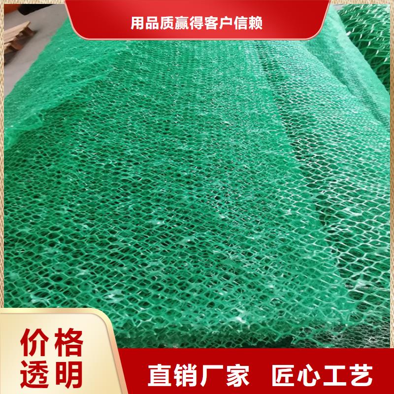 护坡加筋网垫-加筋三维植被网