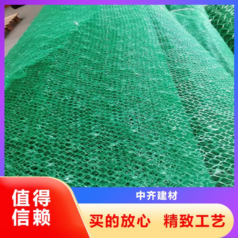 三维植草护坡网垫-三维土工网垫
