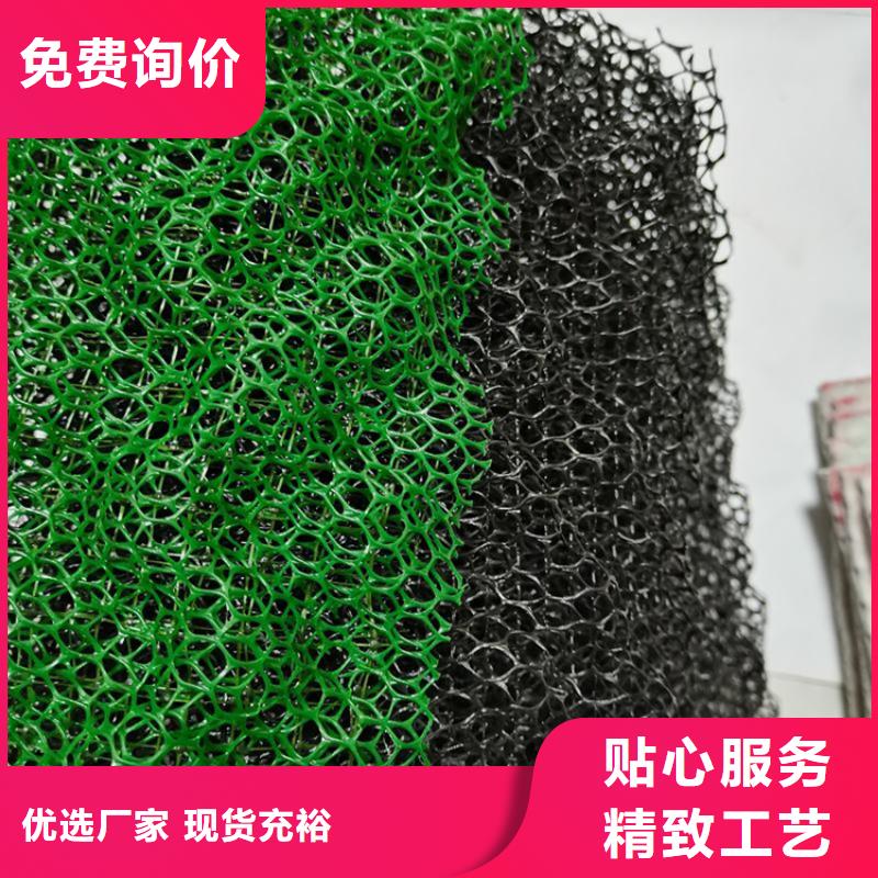 三维植被网放心品质