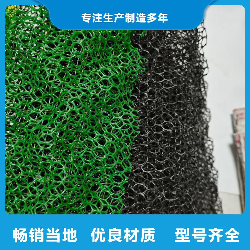三维植被网产品动态