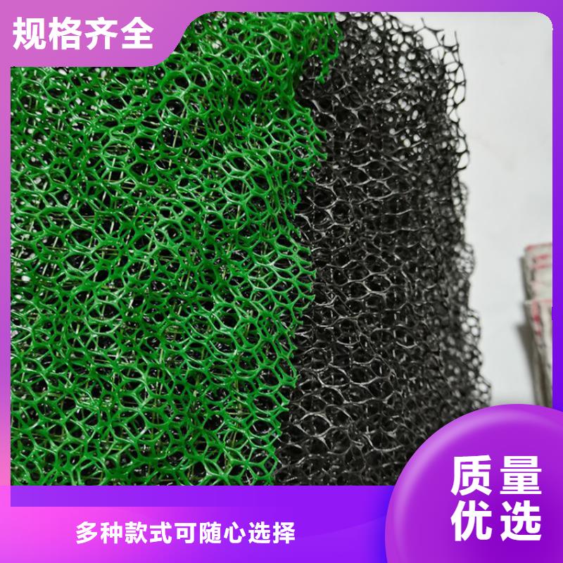 三维加筋土工网垫欢迎电询