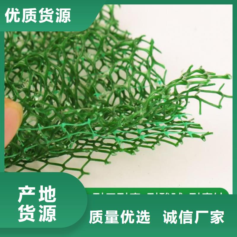 护坡加筋网垫-三维网植草护坡型号结构