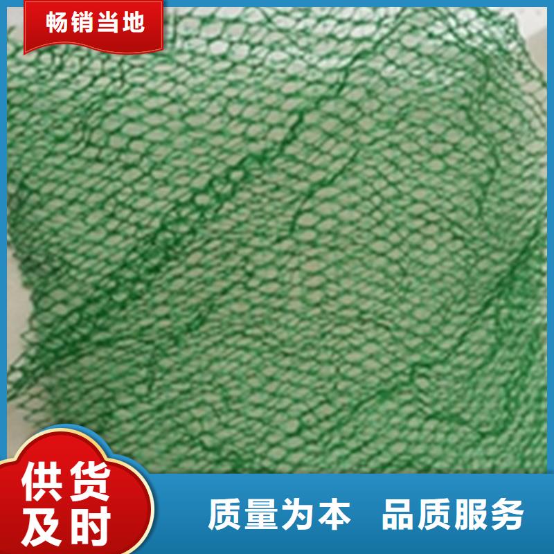 三维植草护坡网垫-EM2三维植被网